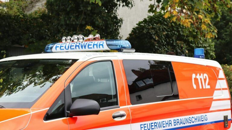 an orange and white van parked in front of a tree